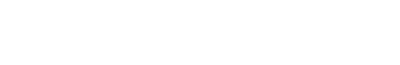 Finanz Informatik